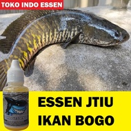 BISA COD Essen Jitu Ikan Bogo Unggulan Anti Boncos 30ml