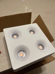 Philips LED 天花燈 (明裝COB射燈)