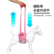 寵物輔助帶