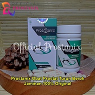 PROSTANIX - Prostanix 100 Asli Herbal Original Obat Prostat Resmi