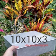 Loyang 10 x10 x 3 - 1 pcs per order (+box RM6)