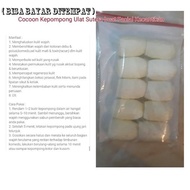 Kepompong Facial / Kepompong Ulat Sutera / Kepompong Pencerah & Penghalus Kulit / Kepompong Penghila