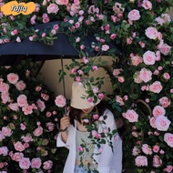 TDJLQ Hanging Flowers Rattan, Plastic Silk 1.7m 21 Heads Artificial Rose Vine,  8 Colors Fake Plants