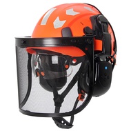 CE Forestry Safety Helmets with 5.0 Bluetooth Built-in Goggles Earmuffs  Mesh Face Shield Logging AB
