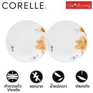 Corelle Begonia จานอาหาร จานแก้ว ขนาด 8.5 นิ้ว (21 cm.) จำนวน 2 ชิ้น [C-03-108-BGN-2]