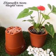 GNC - Gafri - LF170 - 5 Pcs Garden Plastic Planter Pot Pasu