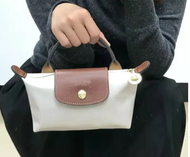 France Longchamp bag women bag mini Longchamp Handbag ladies handbag Cognac unilateral short handle 