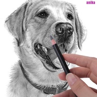 ANIKA Sketch Pencil Set, Smooth Writing HB 2H 4H B 2B 3B Graphite Pencil, Journal 4B 5B 6B 7B 8B Pro