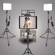 2 Packs Dimmable Bi-Color 432 LED Video Light and Stand Lighting Kit,50W,Add More Remote Controllers