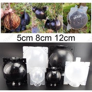 5pcs 5/8/12cm High Pressure Plant Root Growing Box Plant Root Ball Breeding Case for Garden Grafting