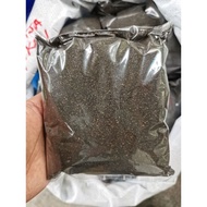 AB Nursery - Baja Ikan (BAJA KELADI/BAJA ROS)