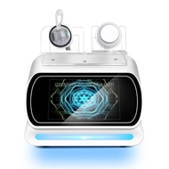 Portable 448K Radiofrequency Physical Therapy Tighten Pain Treatment Factory Price Single Stage CET 