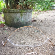 Pukat burung puyuh burung puyuh