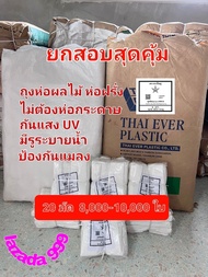 ถุงห่อฝรั่ง ยกสอบสุดคุ้ม ขนาด 6×13 ตราดาวใหม่ ถุงห่อผลไม้ ถุงหนาขุ่น กันแสง UV กันแมลง มีรูระบายอากา