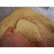 Necklace cricket eggs 1kg