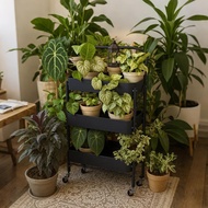 [in stock] Flower Stand Living Room Floor-Standing Small Trolley Storage Rack Movable Balcony Succul