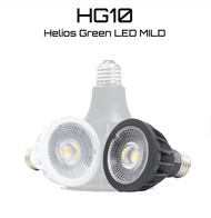 💥New💥現貨 反應熱烈 黑叻色Helios Green LED MILD HG10 塊根，多肉，漆樹，橄欖植物燈 💥💥💥短期優惠，買2支燈或以上，送1個精美Helios 黑膠盆💥💥💥送完即止