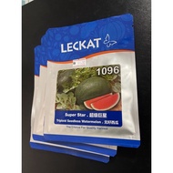 LECKAT 1096 Super Star超级巨星无籽西瓜 BENEH BOJI TIMUN CINA