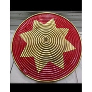 D40 SHIELD