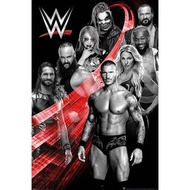 【WWE】Superstars 英國進口海報 Randy Orton/Seth rollins