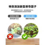 <YZ>【2/3/5PCS】Plant Growth Energizer Concentrated Fairy Water