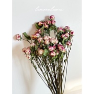 Dried Roses (50 Flowers) Beautiful Flowers That Last A Long Time. Real Roses.
