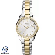 Fossil Round Analog Gold Dial Ladies Watch - ES4319