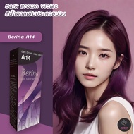 เบอริน่า A14 สีน้ำตาลเข้มประกายม่วง สีผม สีย้อมผม ครีมย้อมผม เปลี่ยนสีผม Berina A14 Dark Brown Viole