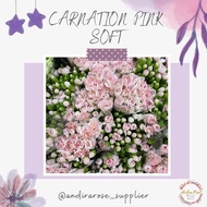 CARNATION (Anyelir Bunga Potong Segar)