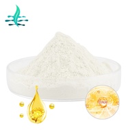 Food grade nutrient enhancer Algae Oil Powder DHA10% docosahexaenoic acid powder DHA algae oil powde