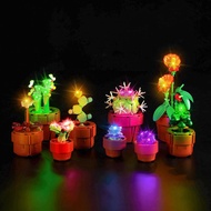 LED Light Kit Compatible with Lego Tiny Plants 10329, DIY Creative Lighting Set Accessories Compatib