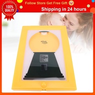 forest Handy Candy Frame Gumball Machine in A Wall Mount Dispenser Picture