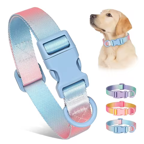 Fashion Durable Gradient Color Puppy Dog Collar Adjustable Durable Nylon Dog Collar for Small Medium