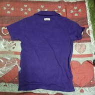 PEPE JEANS POLO T 19X27 GRED HARI RAYO