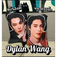 Dylan Wang Heti Cushion
