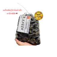 ราคาพิเศษเมล็ดปาล์มคาลิก600จำนวน100เมล็ดมีแถม(รับประกันทุกเมล็ด)การันตีงอก(มีใบรับรองสายพันธุ์เมล็ดค