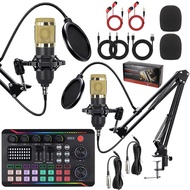 BM800 Condenser Microphone Dual Microphone English Version Sound Card Device Live Broadcast Full Set
