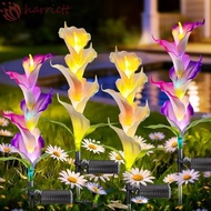 HARRIETT 2pcs Solar Garden Light, Colorful LED Waterproof LED Garden Light, High-Efficiency Solar Pa