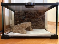Reptizoo 30x20x20cm 爬蟲缸