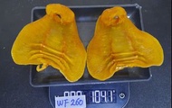 湛江公 鰵魚膠公