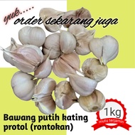 BAWANG PUTIH KATING PROTOL / RONTOKAN 1 KILOGRAM MURAH, KWALITAS BAGUS DIJAMIN PUAS