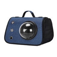 Airline Approved Cat Carrier Comfortable Pet Travel Shoulder Bag Handbag for Cats Small Dogs Under 1