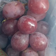 anggur merah biji Chili 1 kg