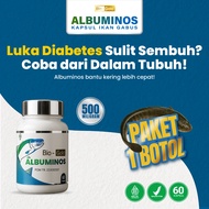Bio Gold Albuminos 60 Capsules Snakehead Fish Extract Kutuk Albumin 500mg for Dry Diabetic Wounds