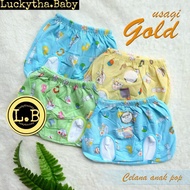 6 pc_ USAGI GOLD baby pop pants, dotted Usagi, striped Usagi, square Usagi/new born baby pants
