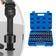 20 Piece Socket Set with H6 H7 H8 H10 H12 H14 H16 H17 H18 H19 Sizes Chrome Steel