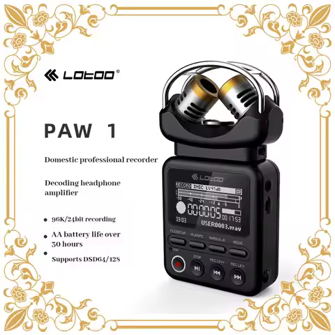 LOTOO Paw1 audio recorder HiFi player DSD professional internal recording pen 64G 256G