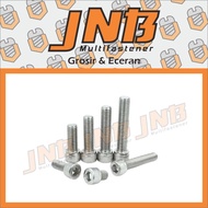 Bolt L M8 Stainless 304 THE A2-70 Length 15 - 100 mm