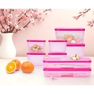 Tupperware Freezermate 300ml 550ml & 600ml