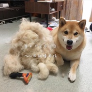 [SF] American Fumei Nate Remove Floating Hair Comb Shiba Inu Maru Same Style Fur Comb Customer Favor